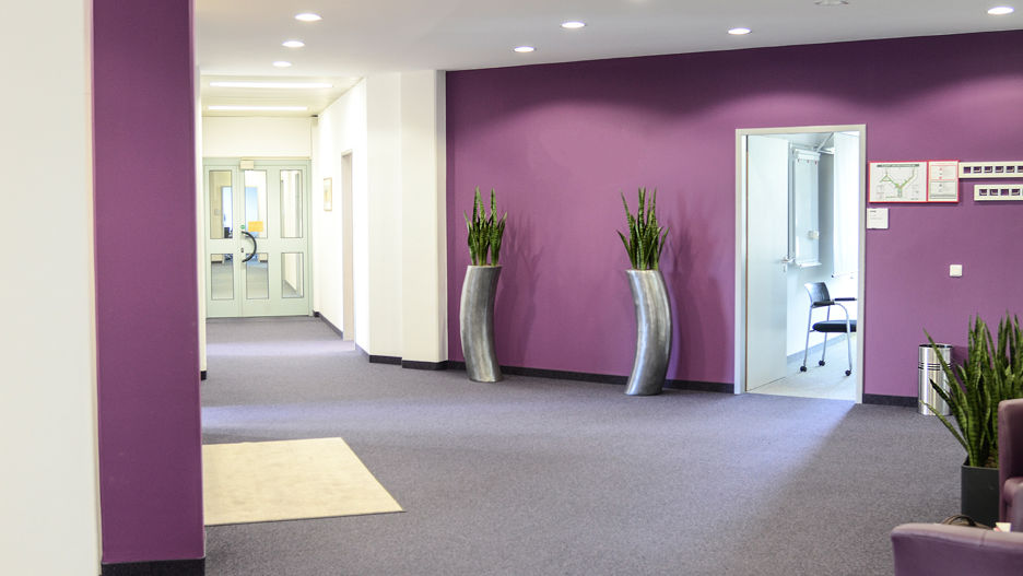 Büroräumlichkeiten mit violett gestrichener Wand